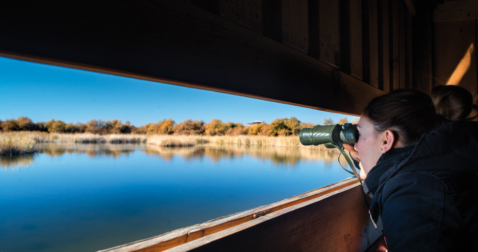 Tablas_Daimiel_Blog_3 Tablas_Daimiel_Blog_3