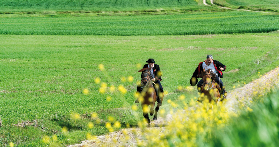 Atienza Caballada Blog