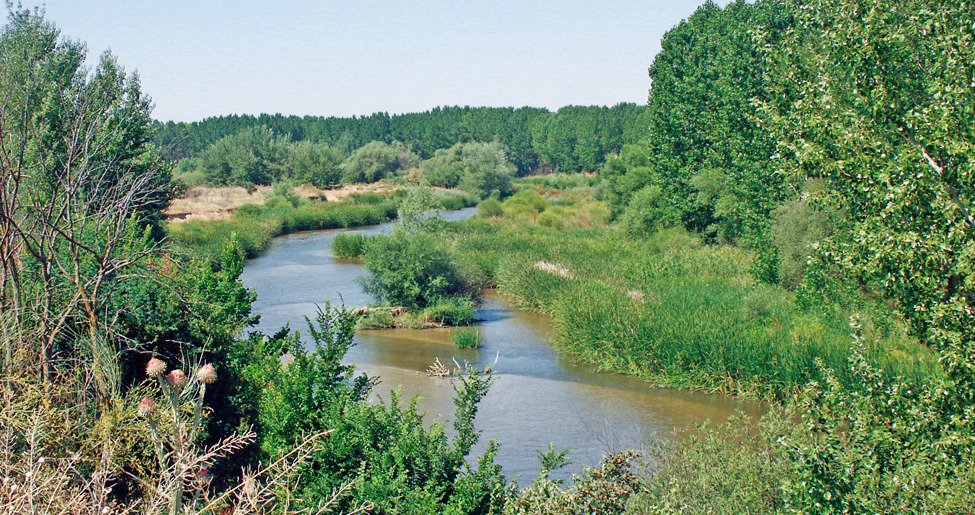 Carranque Guadarrama Blog