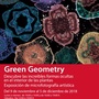 Exposicin "Microfotografa artstica", Green Geometry.