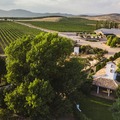 Bodega Río Negro portada