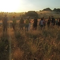 Descubre Alcudia grupo gente