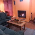 SALON PAJARO BOBO