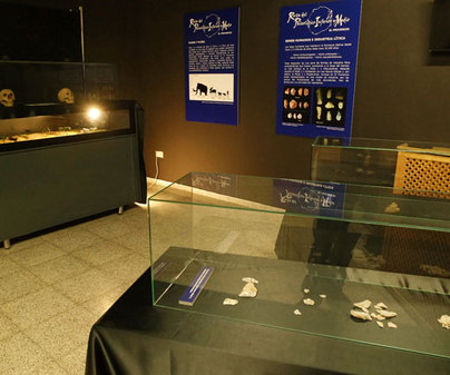 Museo Paleoltico