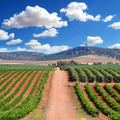 Finca Encomienda de Cervera