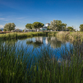 Palomarejos Golf