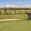 Abedul Golf