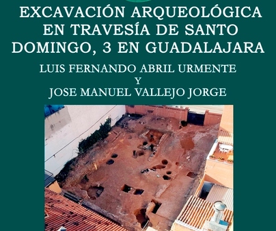 EXCAVACION SANTO DOMINGO