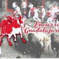 ENCIERROS GUADA