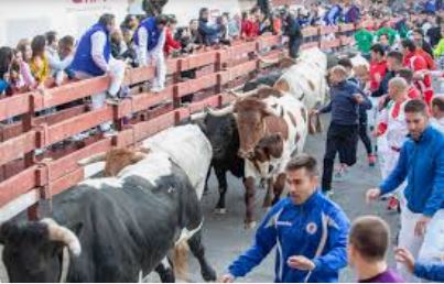 BARRERA ENCIERROS GUADA