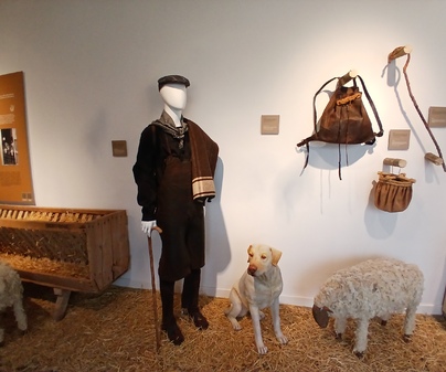 Museo del Queso Manchego