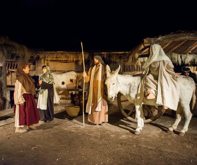 BELEN POSADA GALAPAGOS