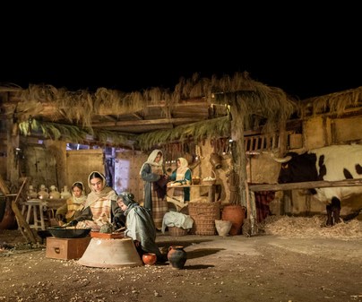 BELEN VACA GALAPAGOS