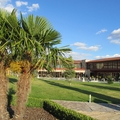 Mar de Olivos