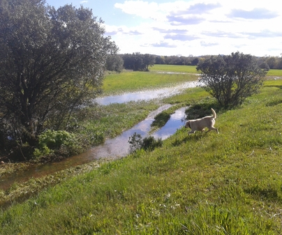 Vivienda Vacacional el Rincn de Juana (Retuerta del bullaque)