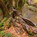 Ecoexperience 1