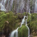 Monumento Natural Nacimiento del Rio Cuervo