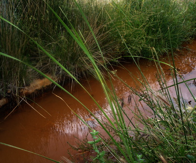 Manadero de agua agria. Villar del Pozo