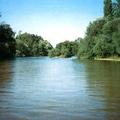 Río Alberche, afluente del Tajo, a su paso por Hormigos