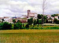 Armua de Tajua. Guadalajara