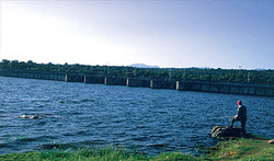 Pantano de Navalcn