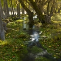 Río Júcar cerca de su nacimiento. Tragacete. Parque Natural de la Serranía de Cuenca. Río Júcar cerca de su nacimiento. Tragacete. Parque Natural de la Serranía de Cuenca.