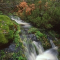 Río Pelagallinas. Prádena de Atienza
