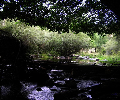 Arroyo en Valdepeas de la Sierra (Guadalajara)