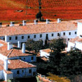 elguijoso.jpg