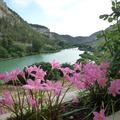 Río Júcar, en Tolosa (Alcalá del Júcar, Albacete)