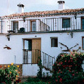 viveros.jpg