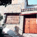 vicente.jpg