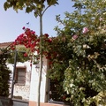 Entrada Casa Rural Los Mainetes en Fuente Álamo (Albacete)
