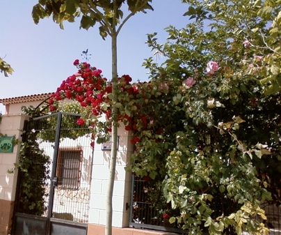 Entrada Casa Rural Los Mainetes en Fuente lamo (Albacete)