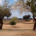 Casa rural El Cuartico, vistas. Villanueva de la Fuente