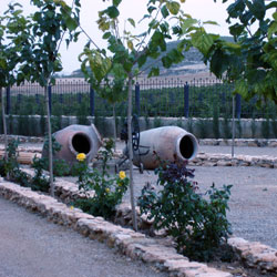 Hotel Enoturismo Mainetes, en Fuentelamo (Albacete)