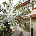 Apartamento Turístico Casa Pipo y Ceci en Cuenca