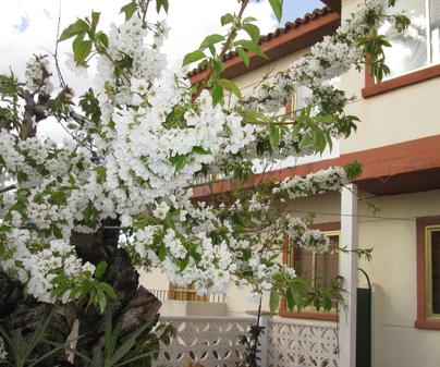 Apartamento Turístico Casa Pipo y Ceci en Cuenca