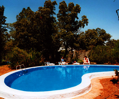 Explotacin de Agroturismo Casa Calixto, en Villarrobledo (Albacete). Piscina