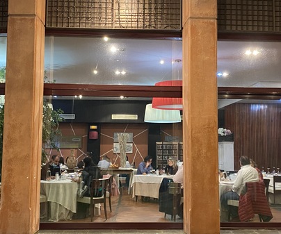 EL OLIVO 5