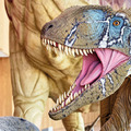 Pepito museo paleontológico