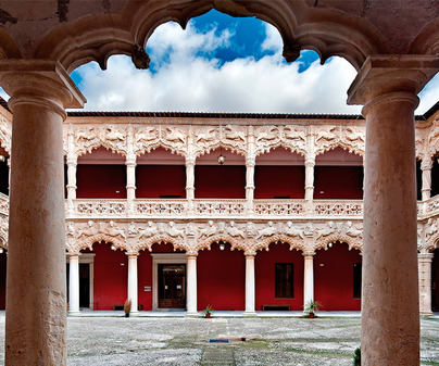 Palacio del Infantado  /<b>David Blzquez</b>