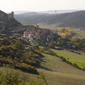 Pelegrina
