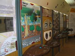 Museo Micolgico La Casa del Nscalo, en Molinicos