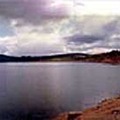 Palmaces de Jadraque. Gaudalajara